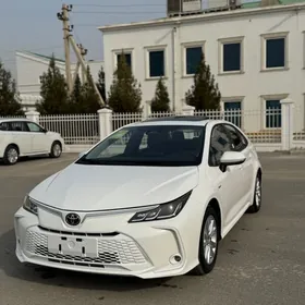 Toyota Corolla 2025
