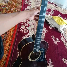 gitara
