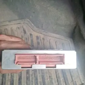 Daewoo Lanos Кампютер