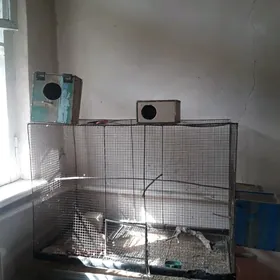 КЛЕТКА ДЛЯ ПТИЦ