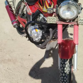 Fekon FK200-14G 2018