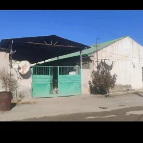 меллек джай