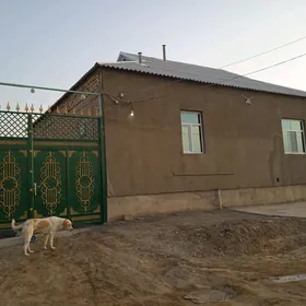 KWARTIRA Bezhozaýyn