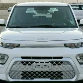 sofyor woditel is gerek