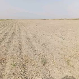 Ökde suwçy işgär gerek