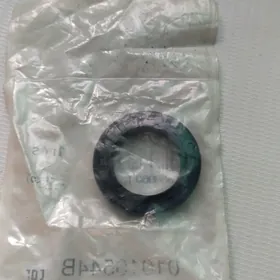 Mercedes Carteko salnik