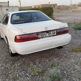 Toyota Windom 1992