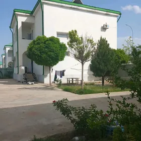 Taze Zaman 12 sotok 5 komnat