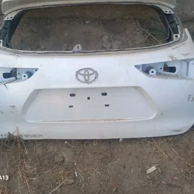 21 багажник Haú