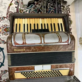 Akkardion