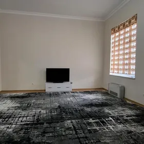 Arenda Jay 16 Tapgyr Elitka