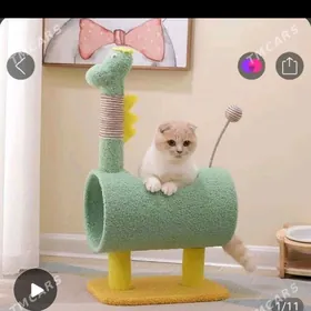 вещи для животных