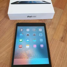 iPad mini
