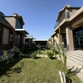 Anew luxe gosa kotejj