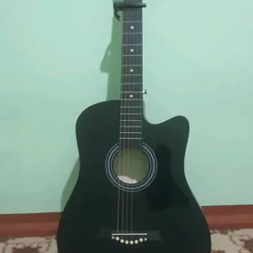 Akustik gitara