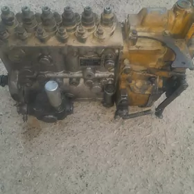 Pagrusyk zapjas 50 lik