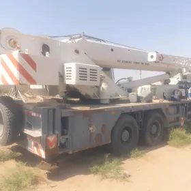 Zoomlion ZTC250V531 2013