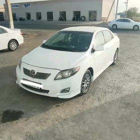 Toyota Corolla 2010