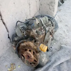 jep dowidetil mator ahli şaýla