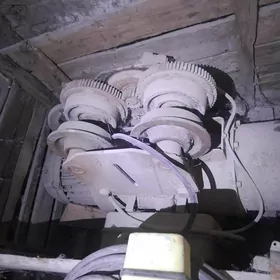 tal uly ÿoreÿan pulutly