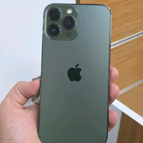 13 pro max