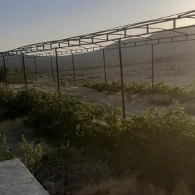 Багчылык ер