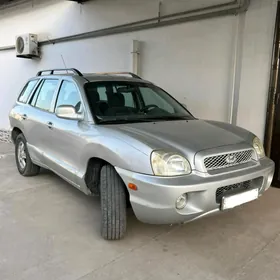 Hyundai Santa Fe 2004