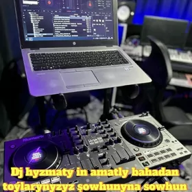 Dj Toý hyzmaty