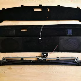 Polka Zanaweska Palta Aziyada