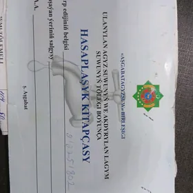 Hasaplashyk kitapcasy