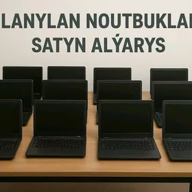 NOUTBOOK SATYN ALYAS