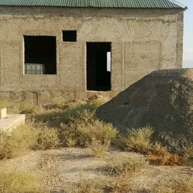 kaka arap gala yolda