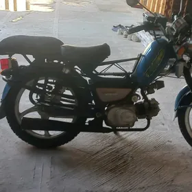 Fekon FK150-8G 2019