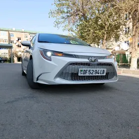 Toyota Corolla 2020