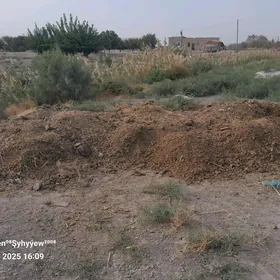 Sygyr dersi