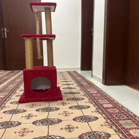 кошачий домик