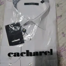 koynek cacharel firma