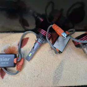 Led kaier, lupa hundaý sonata