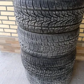 Lexus pakryska sonky model