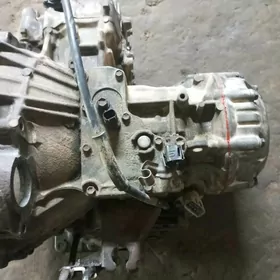 3lìk 1 MZ karopga