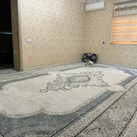 Swaboda wysokipatalok