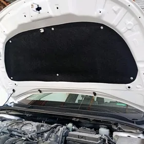 КАПОТ КЕЧЕ БАГАЖ