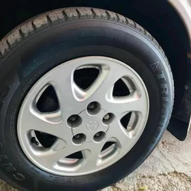 Babycka zawatskoy diska