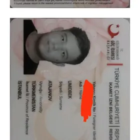 dakument yitdi