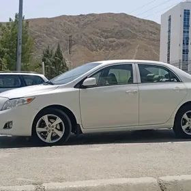 Toyota Corolla 2010