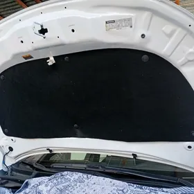 КАПОТ БАГАЖ КЕЧЕ