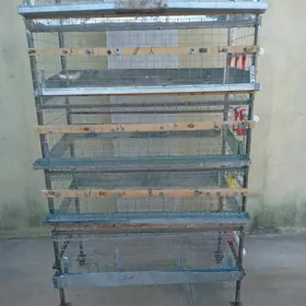 клетка для перепелов.