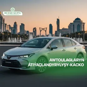 AWTOKASKO awtoulag strahowka