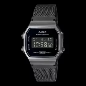 sagat Casio