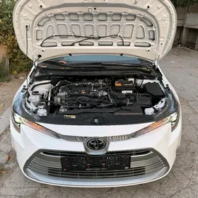 Toyota Corolla 2024